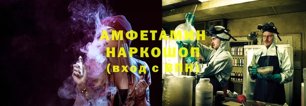 прущие грибы Богданович