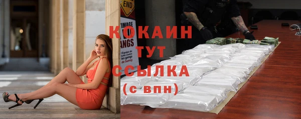 прущие грибы Богданович