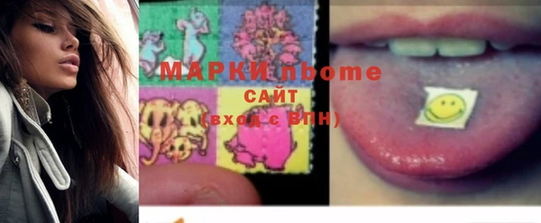 прущие грибы Богданович