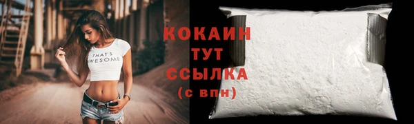 прущие грибы Богданович