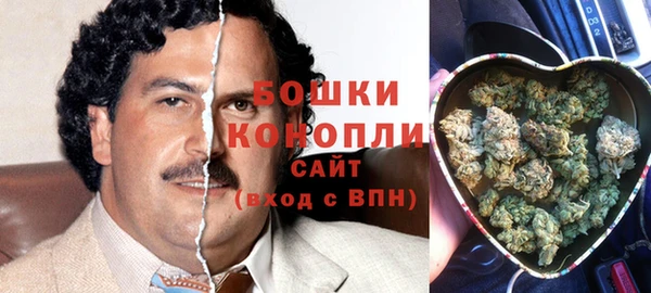 прущие грибы Богданович