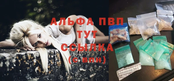 прущие грибы Богданович