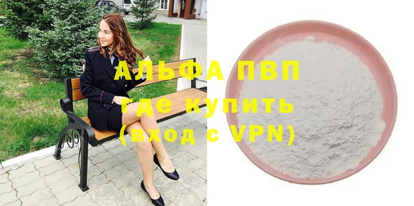 прущие грибы Богданович