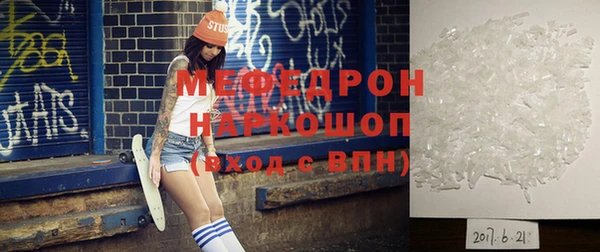 прущие грибы Богданович