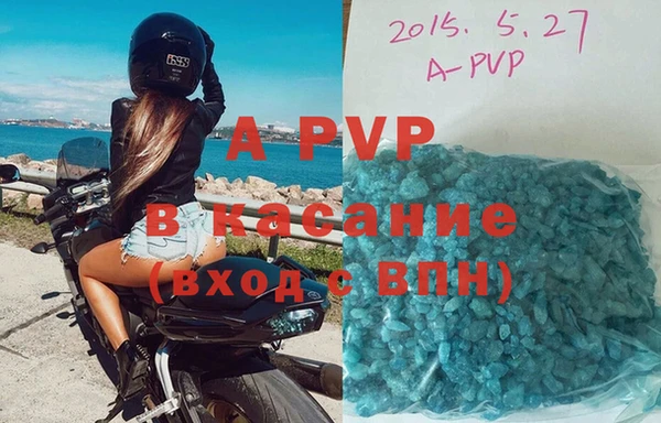 прущие грибы Богданович