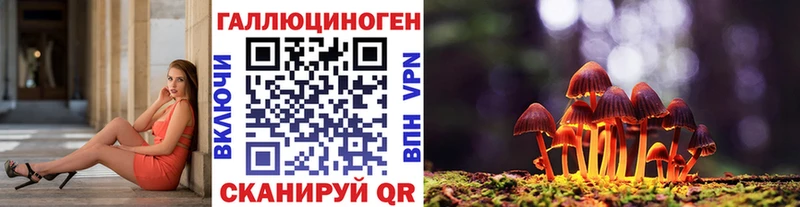 Псилоцибиновые грибы Psilocybe  Муравленко 